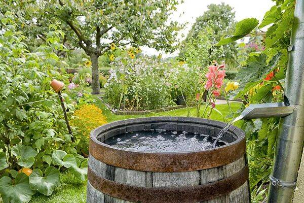 Une réserve d’eau dans le jardin