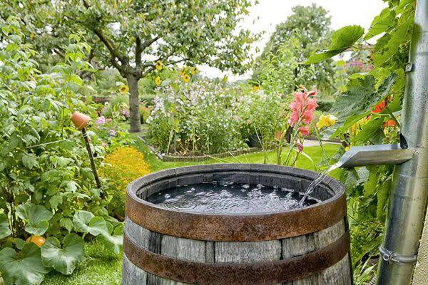Une réserve d’eau dans le jardin