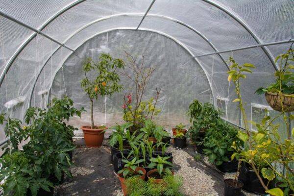 Pourquoi choisir une bâche plastique anti-UV pour une serre ?