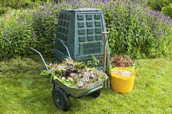 Compost : pourquoi et comment le réaliser ? 