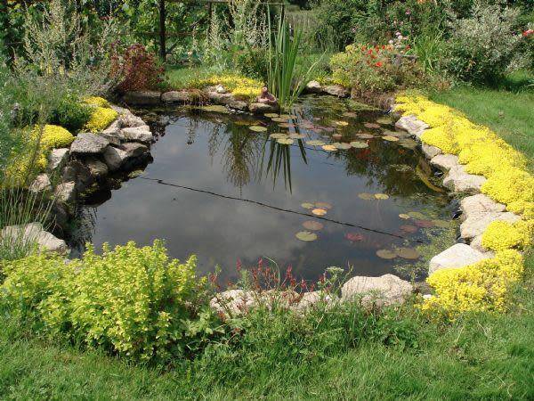 Photo Vos Idées Jardins Josyane Ceccaldi - 03210