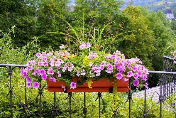 Que mettre au fond des jardinières ?