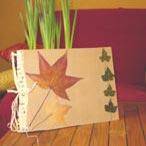 Feuilles séchées : un cahier très nature