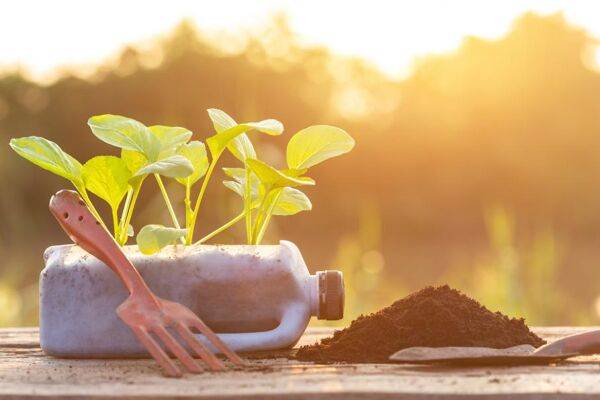 Idée de récup numéro 21 : Recyclez vos contenants ménagers