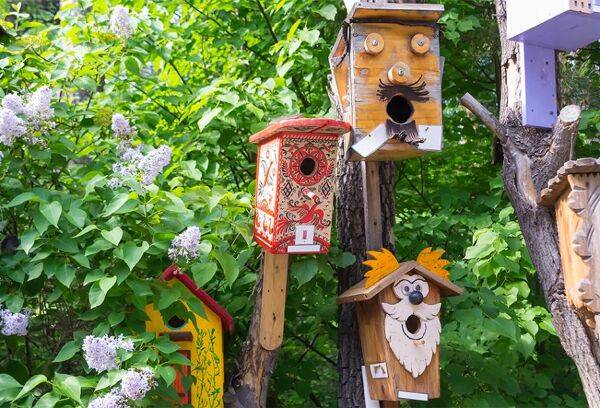 Un nichoir à oiseaux original