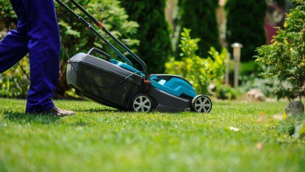 Comment choisir une tondeuse pour une petite surface de pelouse ?