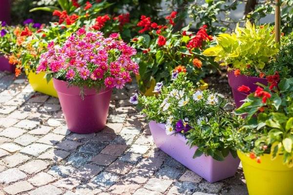 # Coloré, léger, le pot de fleurs en plastique a la côte ! © Brebca - stock.adobe.com

