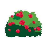 Picto Rosier