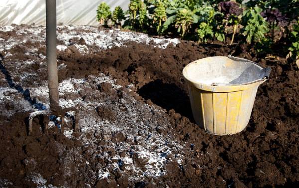 # Comment bien utiliser le carbonate de chaux ? - © richsouthwales - stock.adobe.com
