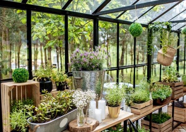 # L'espace fermé qu'est une serre de jardin demande à ce que les plantations y soient bien organisées - © rh2010 - stock.adobe.com
