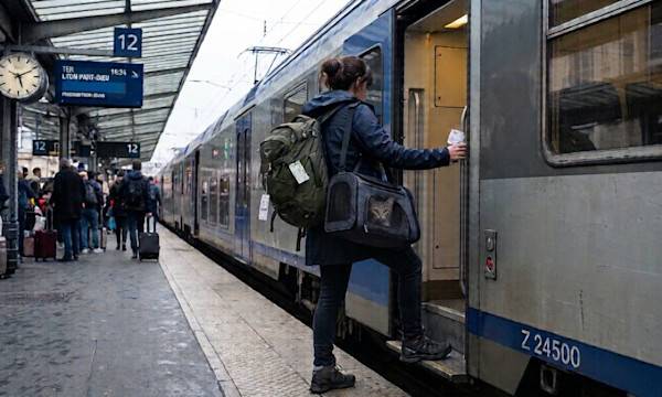 Voyager avec son chat en train - Image générée par IA