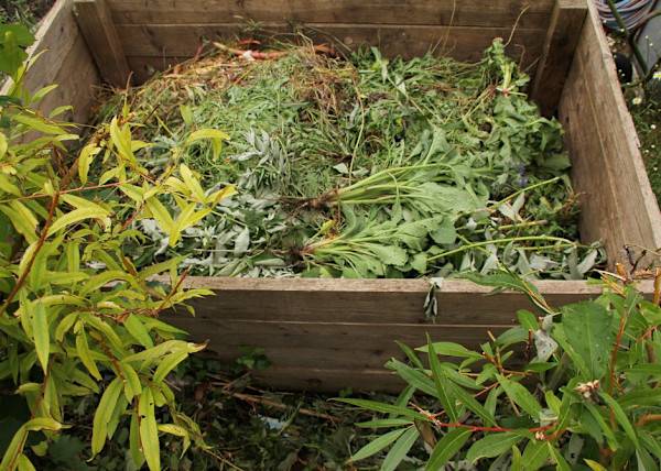 # Le compost, un geste bon pour la planète ! © kittyfly - stock.adobe.com
