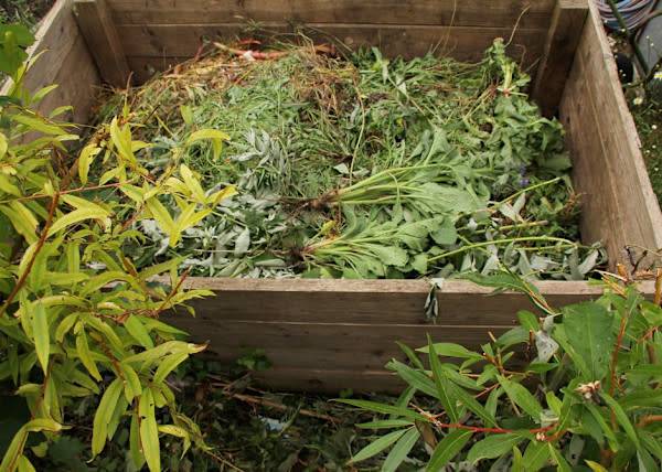# Le compost, un geste bon pour la planète ! © kittyfly - stock.adobe.com