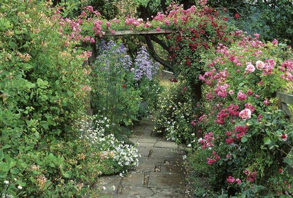Une pergola et des plantes grimpantes