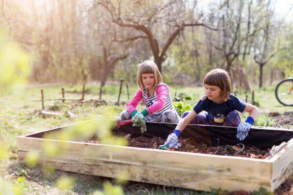 Comment faire un carré de potager facile ?