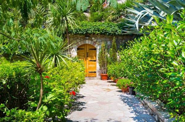 Comment réussir la plantation des plantes méditerranéennes ?