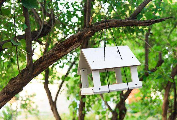 Une mangeoire à oiseau “fait maison”