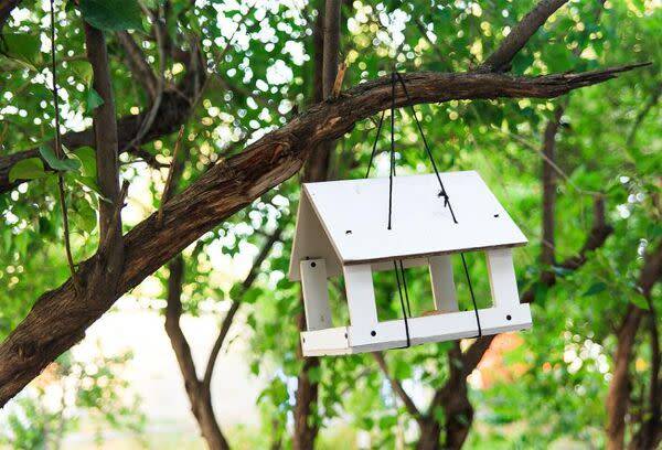 Une mangeoire à oiseau “fait maison”