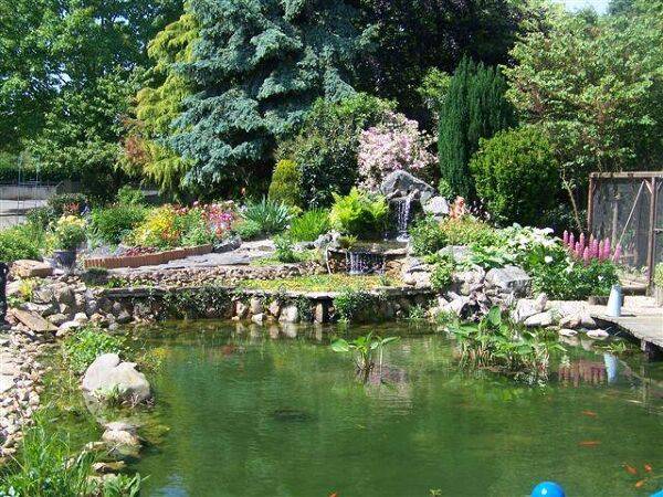 Les piscines naturelles