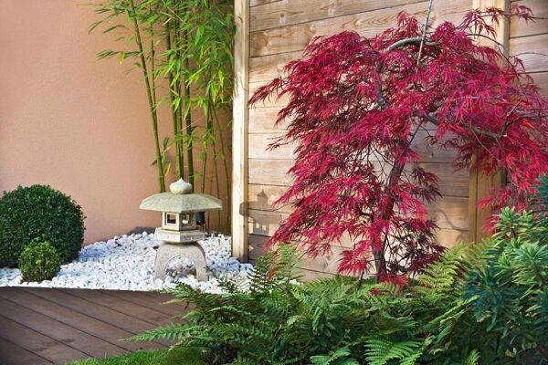 Terrasse japonaise