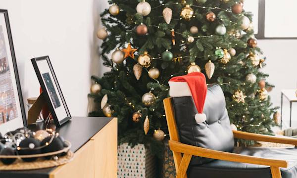 Peut-on tailler son sapin de Noël ? - © ninelutsk - stock.adobe.com