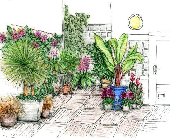 Un patio luxuriant dont on oublie les frontières