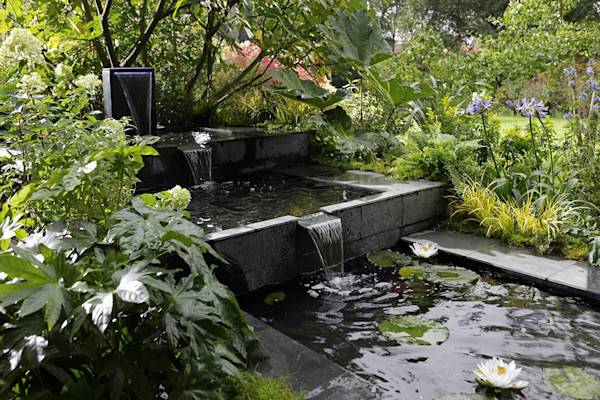 Bassin de jardin préformé ou bâche pour bassin : que choisir ?