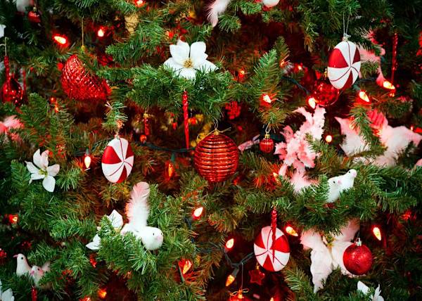# Vient au moment où il faut ranger le sapin ... jusqu'à l'année prochaine ! © nalidsa - stock.adobe.com