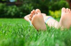 Gazon avec pieds en éventail 
