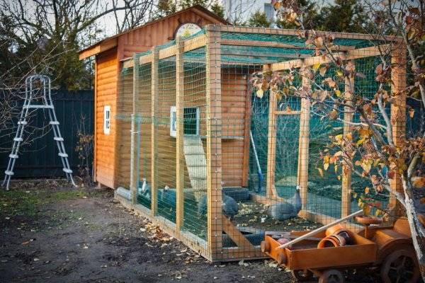#Quels sont les travaux à faire au poulailler en automne ? - © Peredniankina - stock.adobe.com
