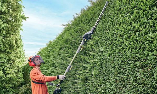 Quel taille-haie choisir ?