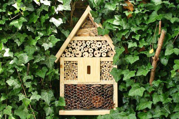 Installer un hôtel à insectes