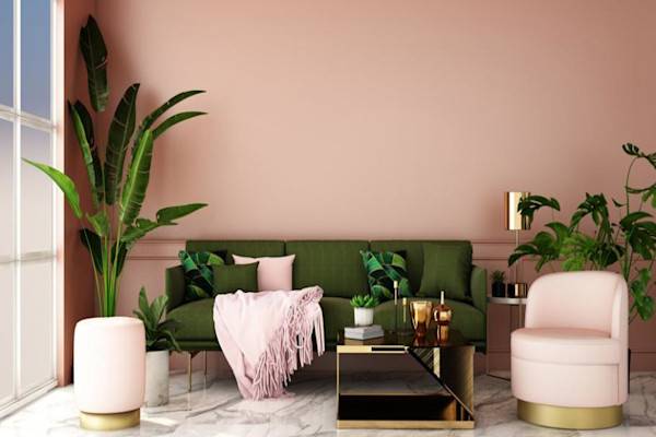 Choisir ses plantes d'intérieur pour le salon et le séjour
