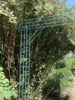 Idée de récup numéro 7 : des armatures de fer pour des arches de jardin originales