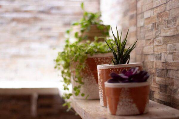 25 idées déco de pot de fleurs en intérieur