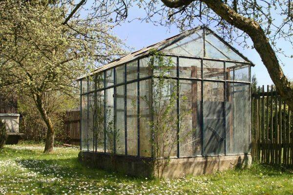 Hiverner ses plantes sous serre