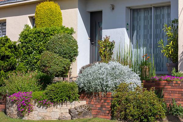De petits arbres persistants et compacts pour des entrée ou des terrasse aménagées
