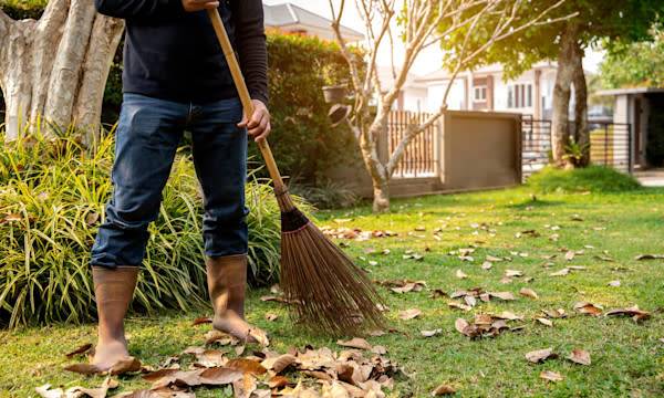 Refaire sa pelouse en automne - © aumnat - stock.adobe.com