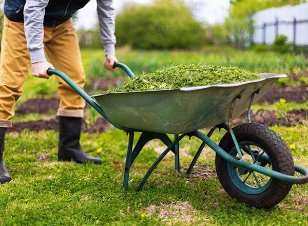 Quand préparer son jardin pour le printemps ?