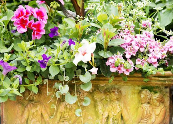 Comment composer sa jardinière d’été ? - © Johanna Mühlbauer - stock.adobe.com

