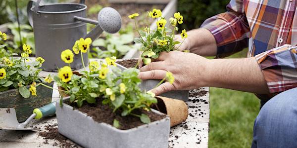 Quel engrais pour les plantes en pots et jardinières ?