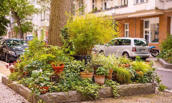 Le jardin de rue - © philipk76 - stock.adobe.com