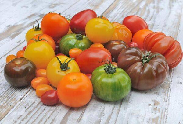 Les 10 meilleures variétés de tomates à cultiver 