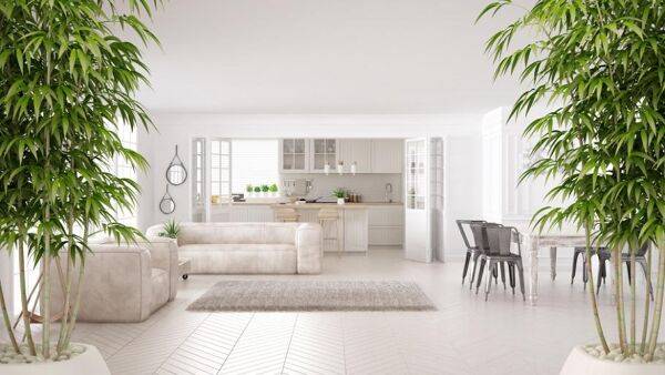 Un bambou décoratif en intérieur