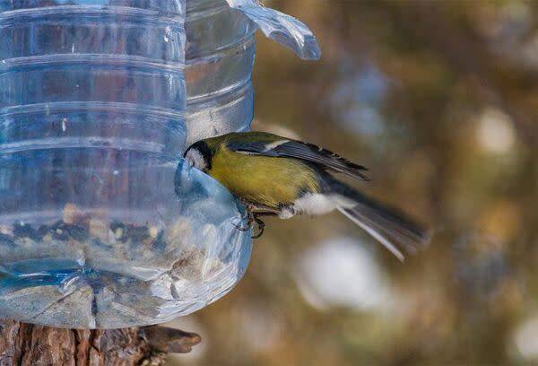 Mangeoire à oiseaux