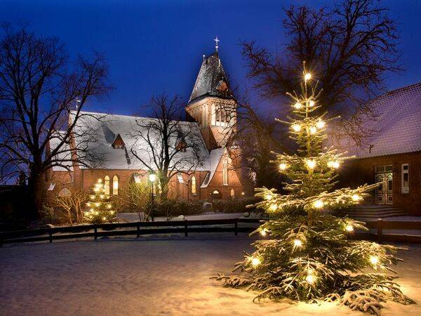 Quelles sont les origines du Sapin de Noël ?