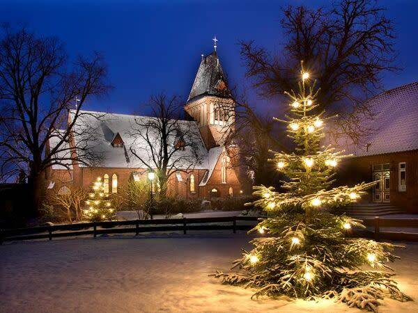 Quelles sont les origines du Sapin de Noël ?