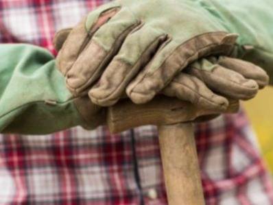 Potager pour les débutants