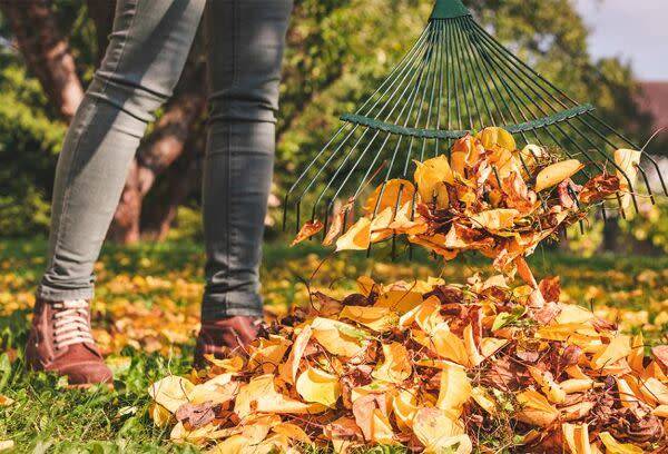 Utiliser les feuilles mortes au jardin