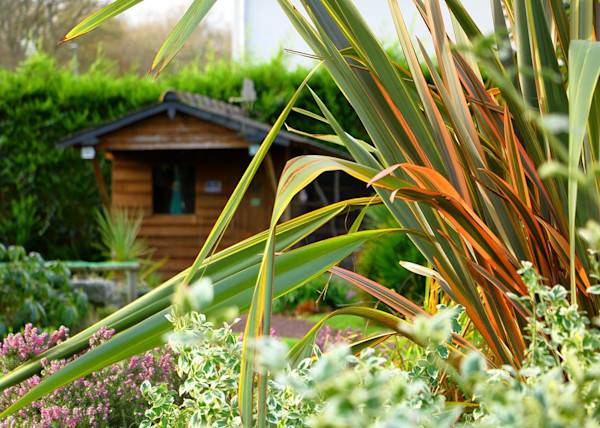 # Vous avez besoin d'un atelier de bricolage ? Votre abri de jardin sera parfait dans ce rôle ! © Pierre-Olivier - stock.adobe.com
